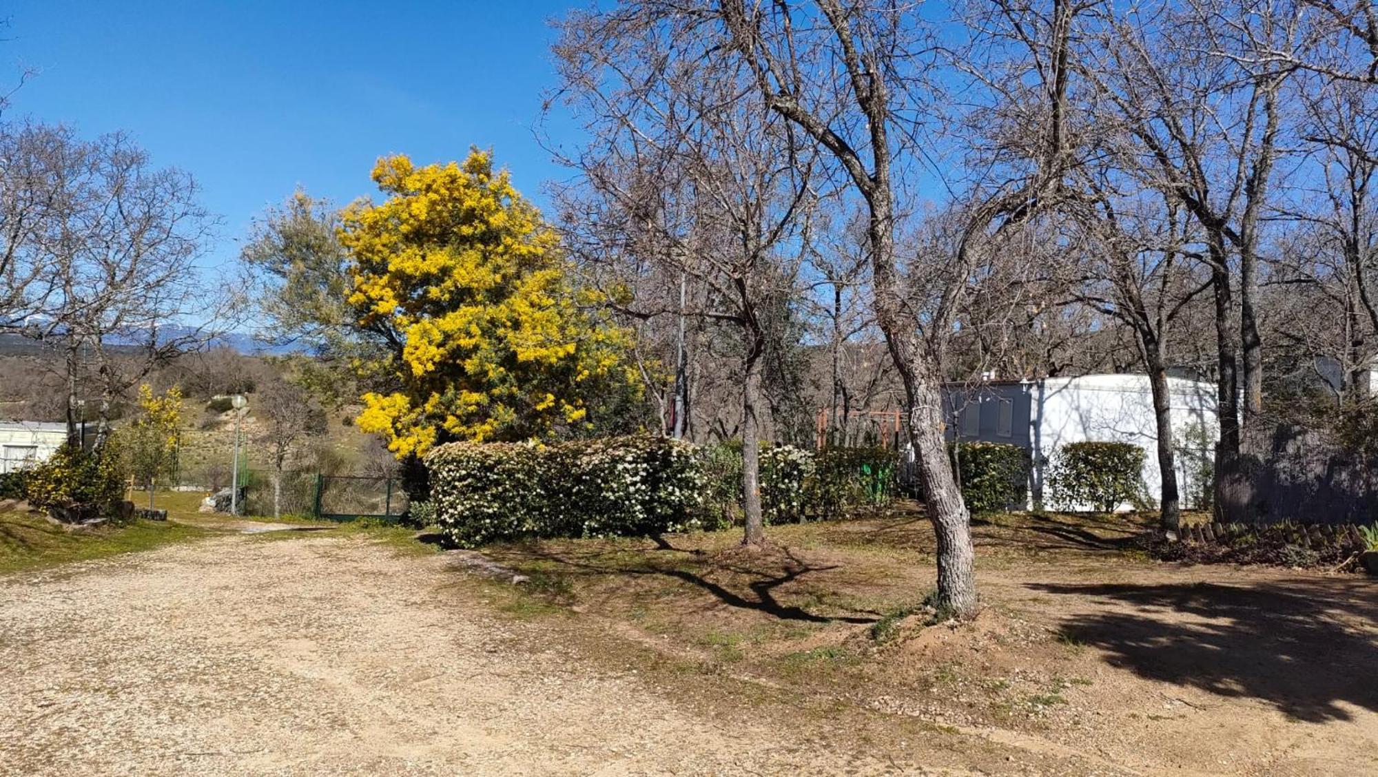 Camping De Cervera De Buitrago Exteriér fotografie