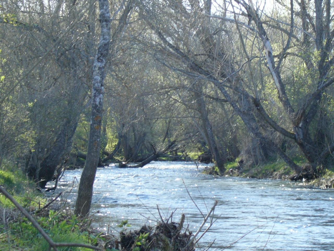 Camping De Cervera De Buitrago Exteriér fotografie
