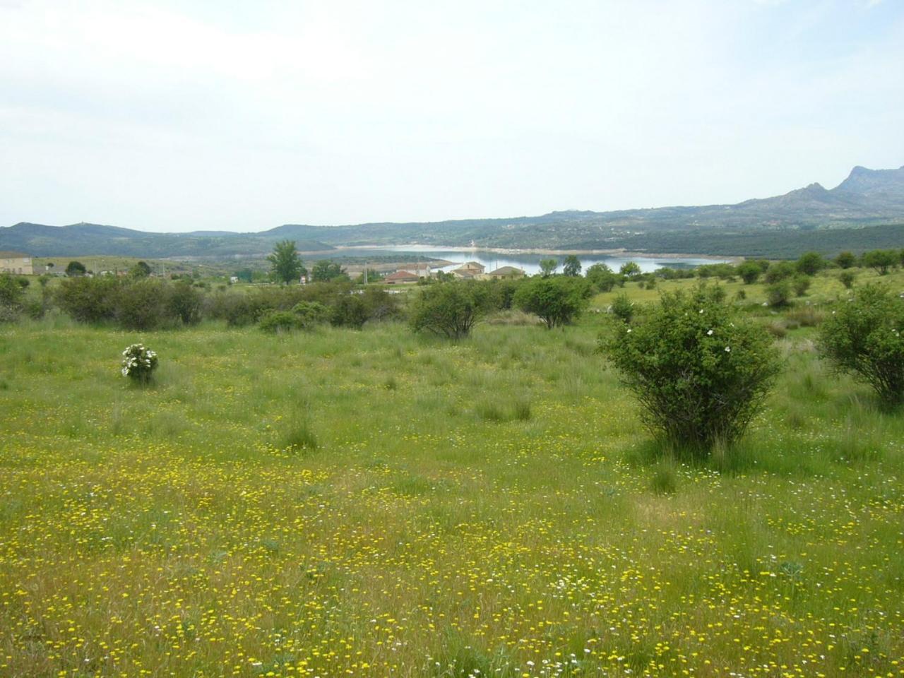 Camping De Cervera De Buitrago Exteriér fotografie