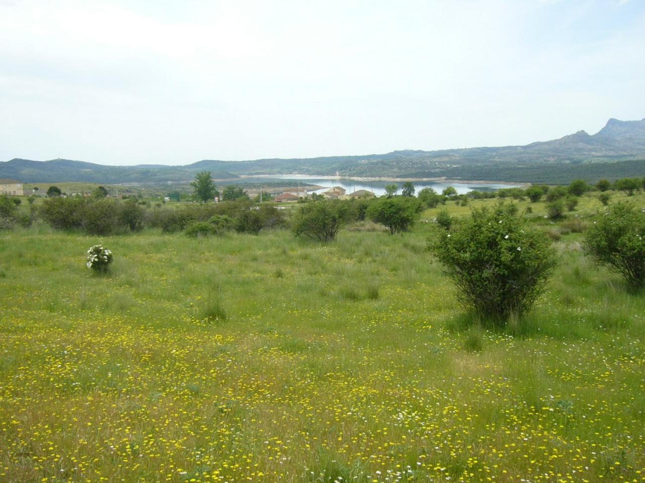 Hotel Camping De Cervera De Buitrago Exteriér fotografie